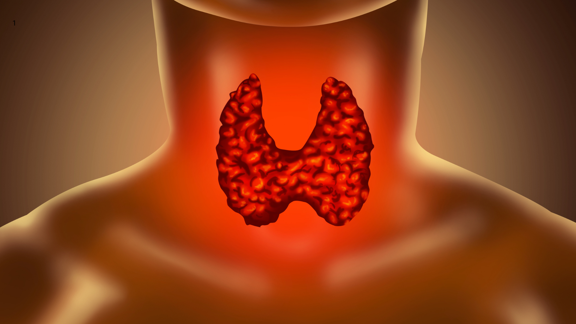 Your Thyroid and Weight loss ? The Connection is Real