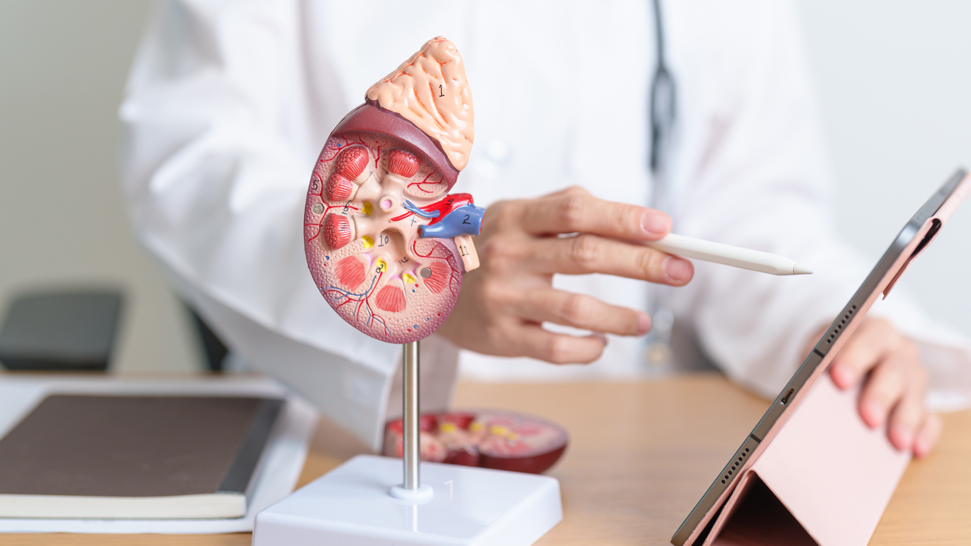 🚽 Urinary Health in Men: What Young Adults Need to Know (Simple Guide for Ages 25–45)