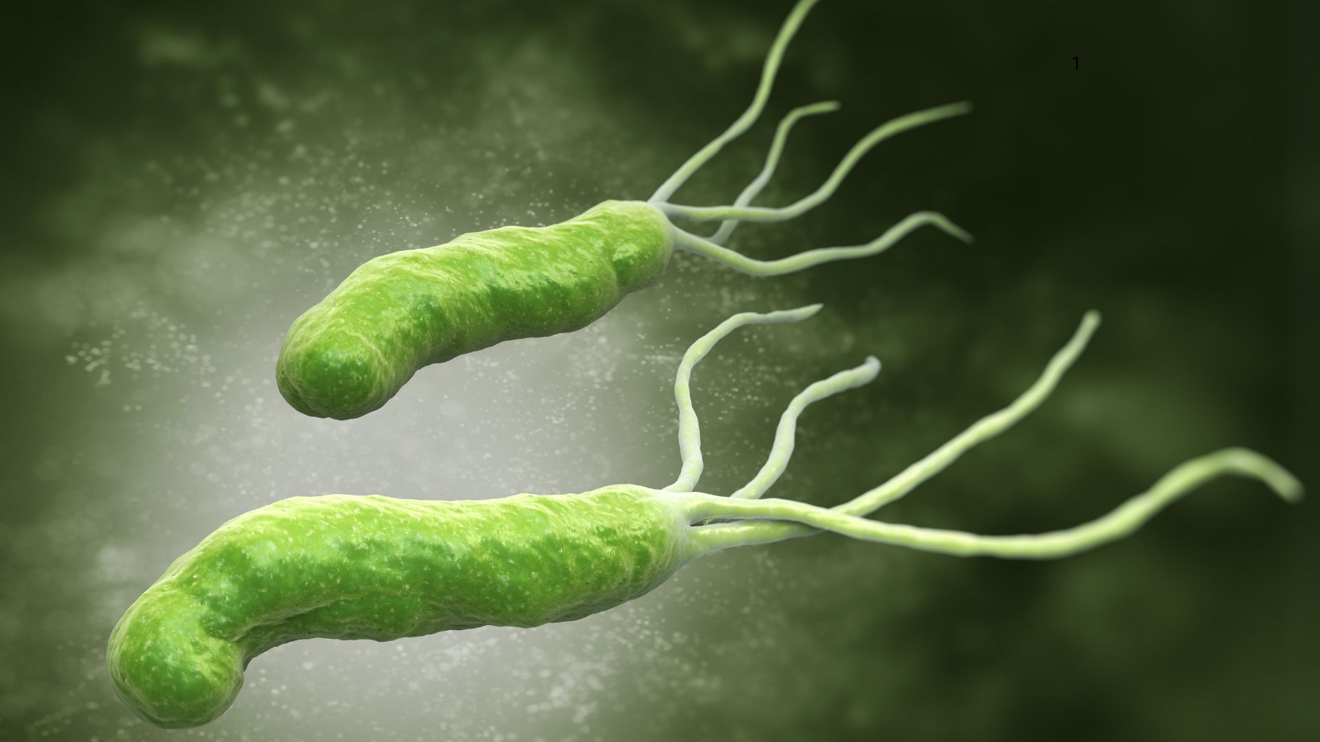 How H. Pylori May Be Affecting Your Brain